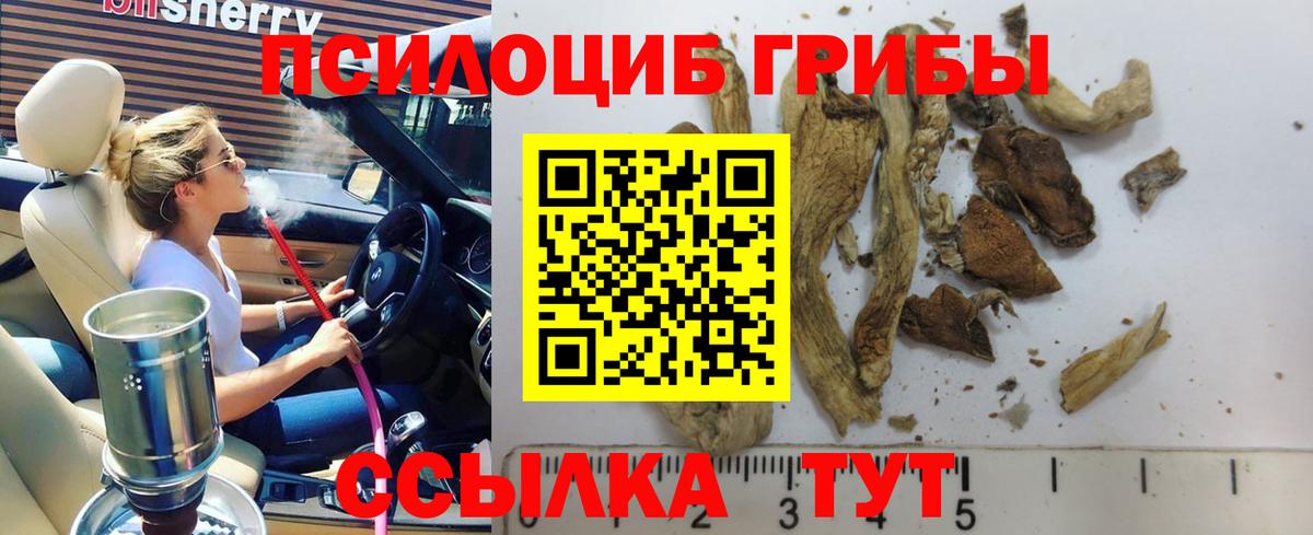 Галлюциногенные грибы Magic Shrooms  Псилоцибиновые грибы Psilocybine cubensis  Вход с VPN  Вязьма 
